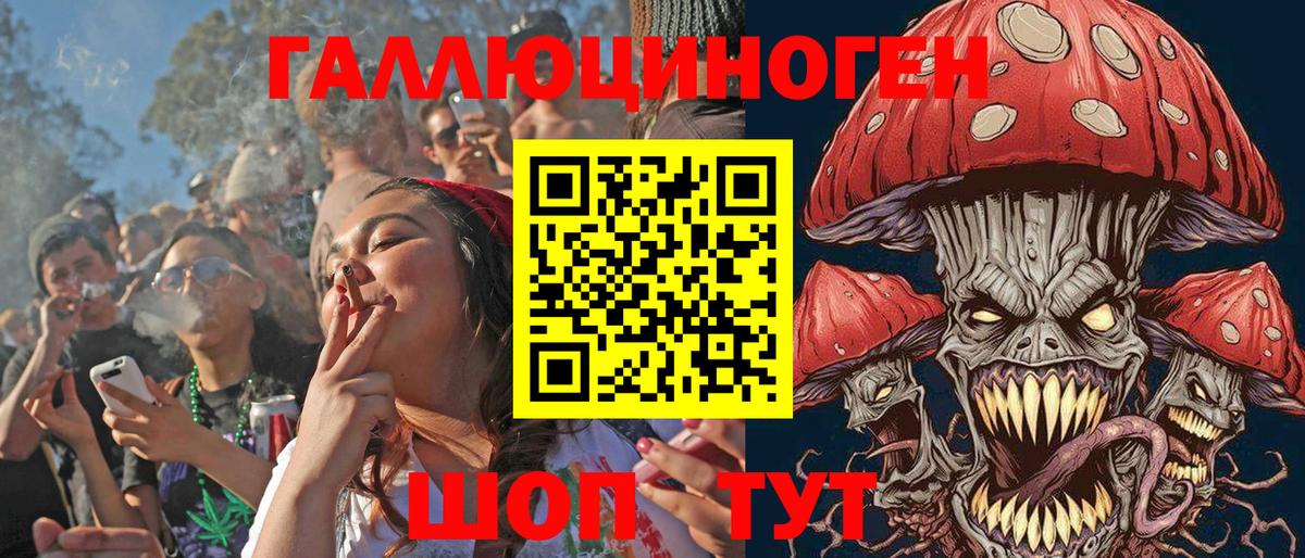 Михайловка  Галлюциногенные грибы ЛСД  Вход с VPN 